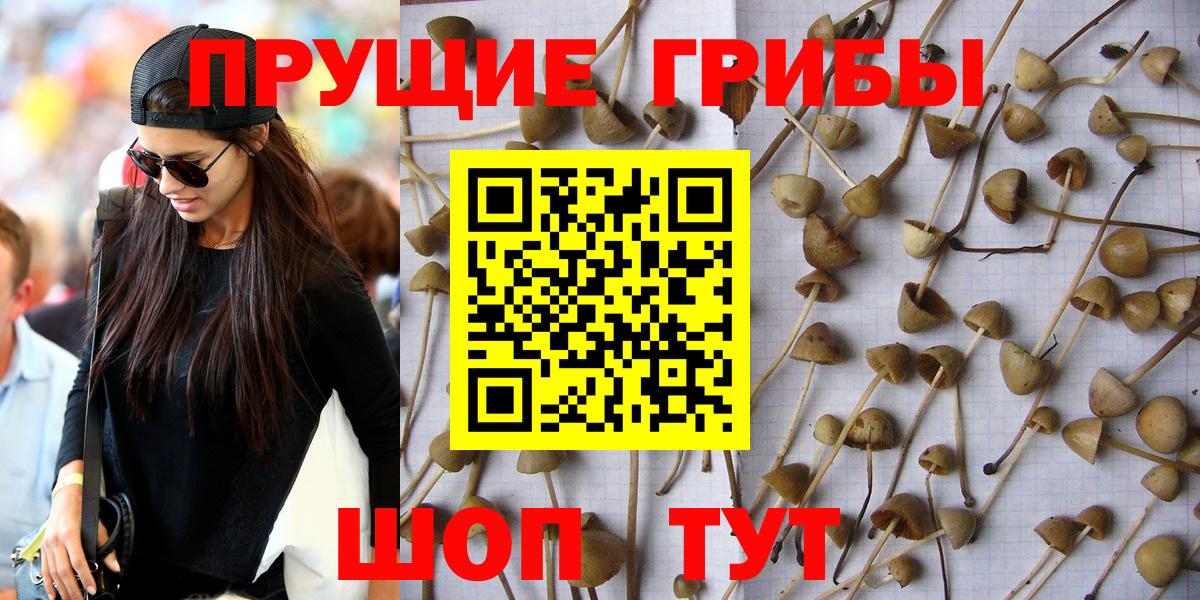 Галлюциногенные грибы прущие грибы  Вход с VPN  Ипатово 